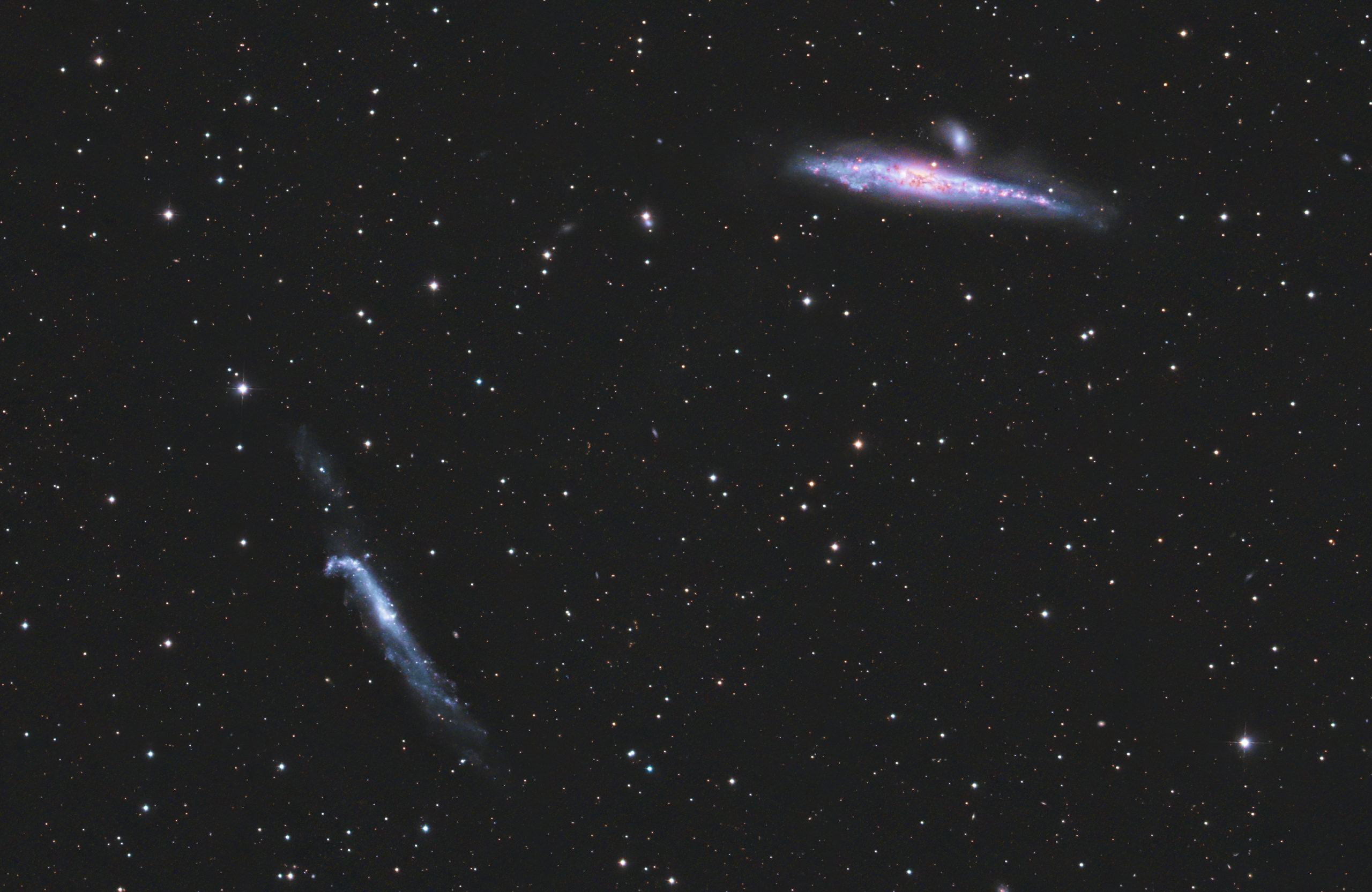 NGC4631 Walgalaxie