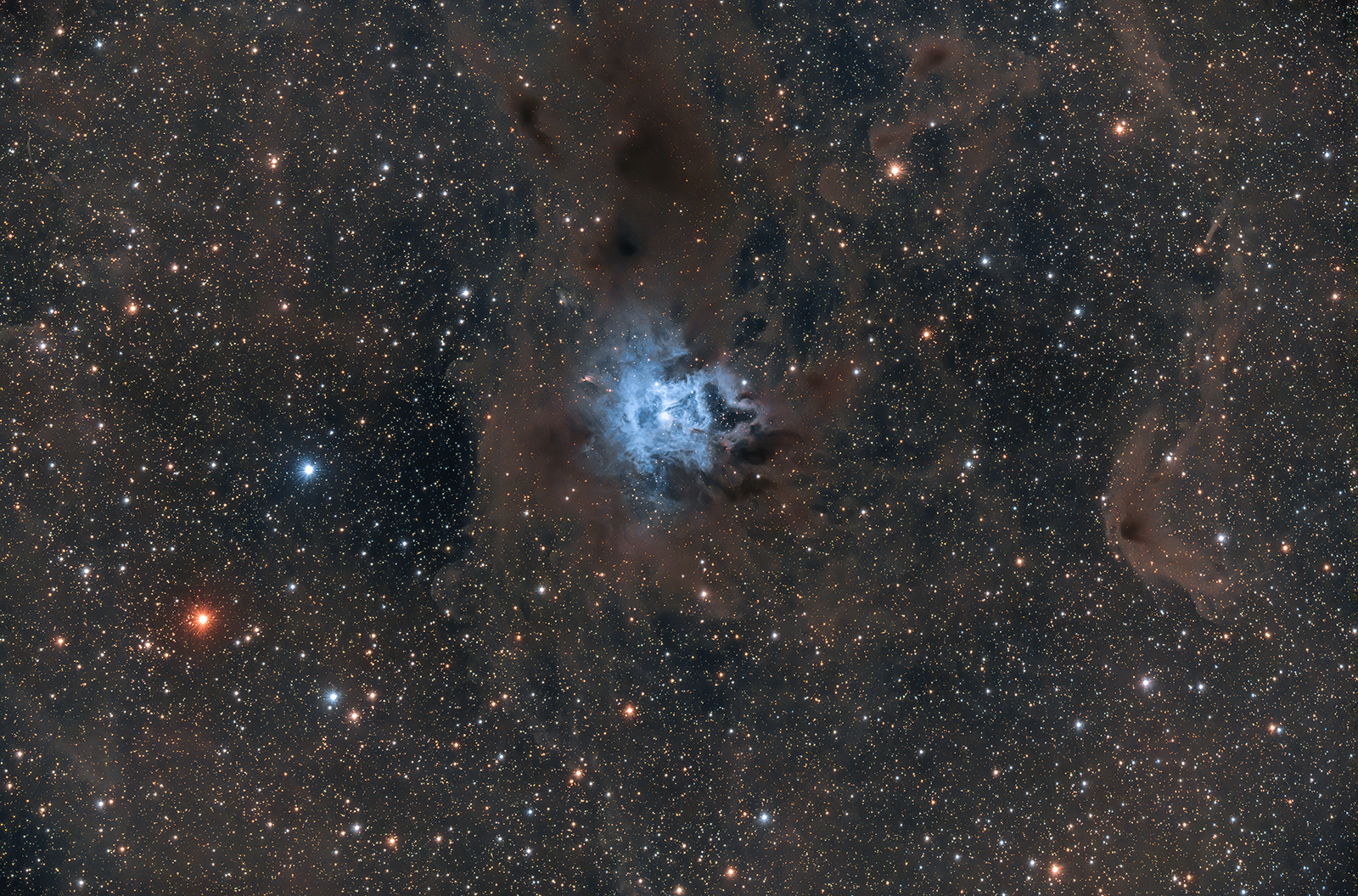 Irisnebel Heiner Weiss