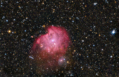 NGC 2174, NGC2175 - Affenkopf Nebel