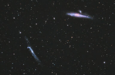 NGC4631 Walgalaxie