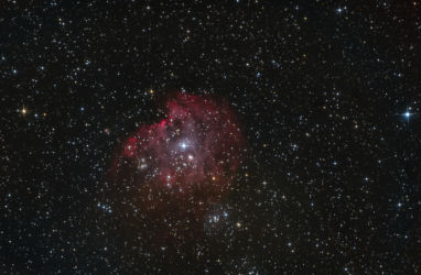 NGC 2174, NGC2175 - Affenkopf Nebel affenkopf-nebel-groc39f