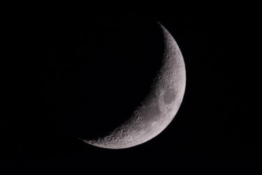dsc_1904-einzelbild