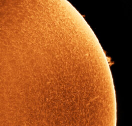 Sonne vom 31.03.2021